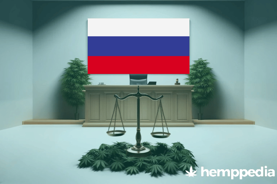 La cannabis è legale in Russia? – Update 2024