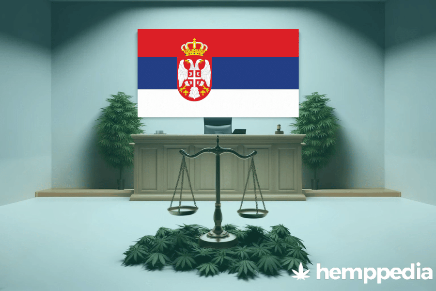 La cannabis è legale in Serbia? – Update 2024