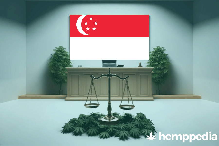 La cannabis è legale a Singapore? – Update 2024