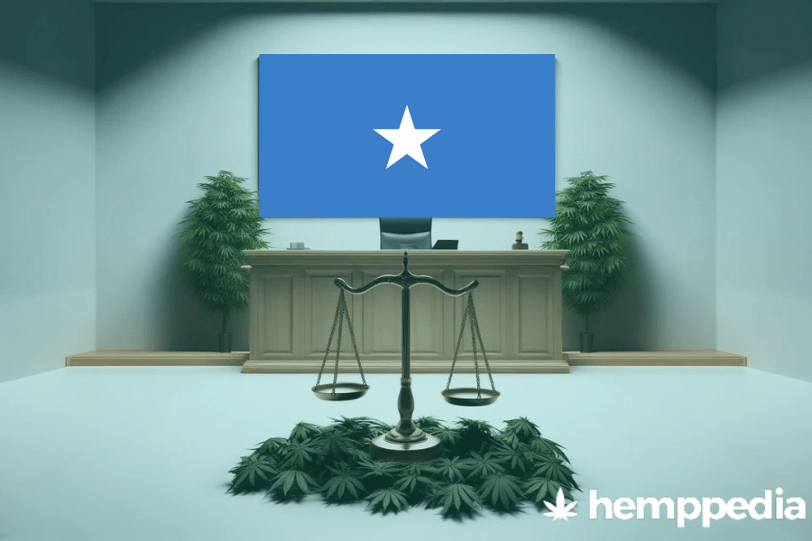 La cannabis è legale in Somalia? – Update 2024