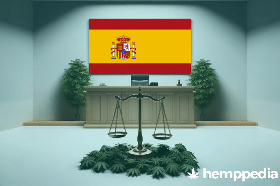 La cannabis è legale in Spagna? – Update 2024