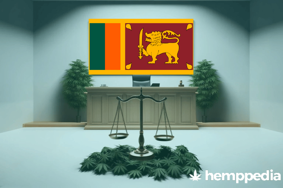 La cannabis è legale in Sri Lanka? – Update 2024