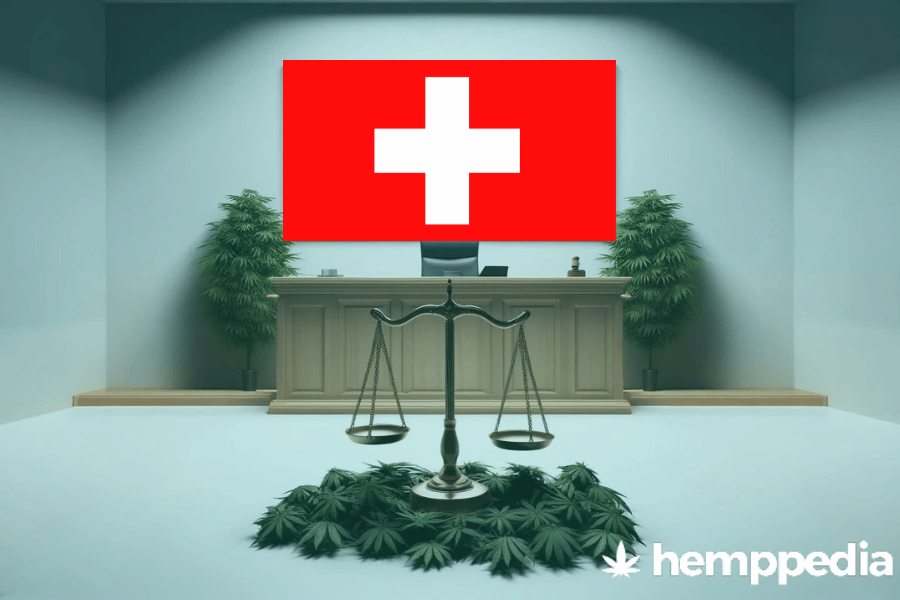 La cannabis è legale in Svizzera? – Update 2024