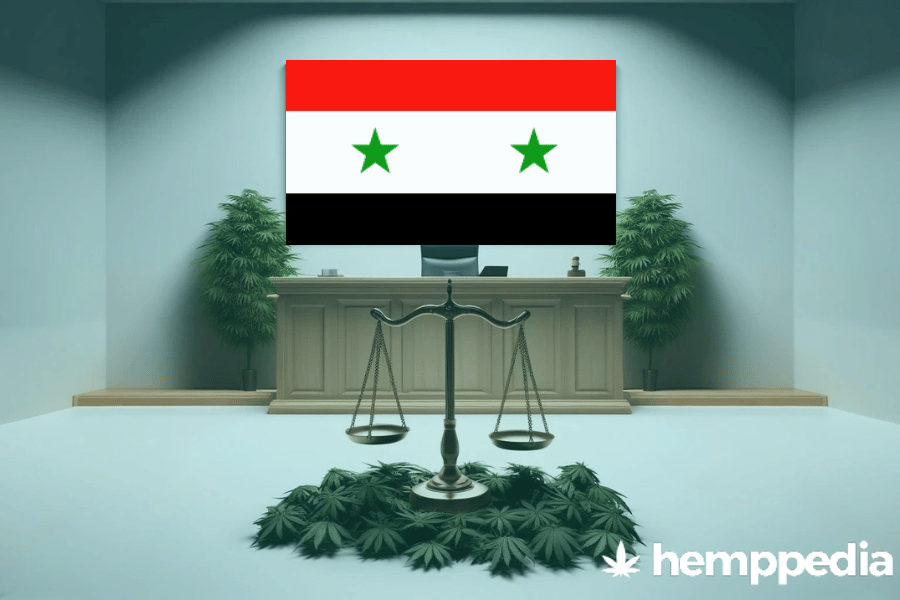 La cannabis è legale in Siria? – Update 2024