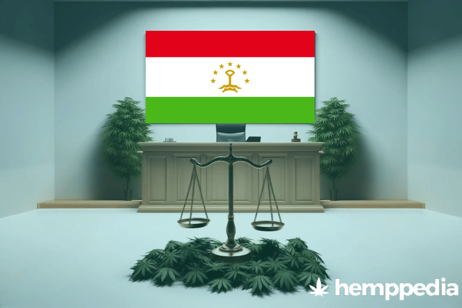 La cannabis è legale in Tagikistan? – Update 2024