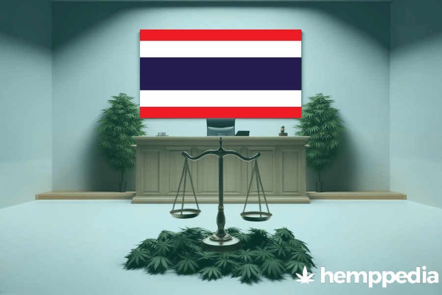 La cannabis è legale in Tailandia? – Update 2024
