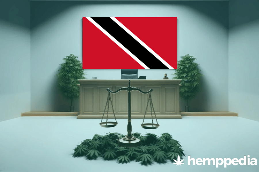 La cannabis è legale a Trinidad e Tobago? – Update 2024