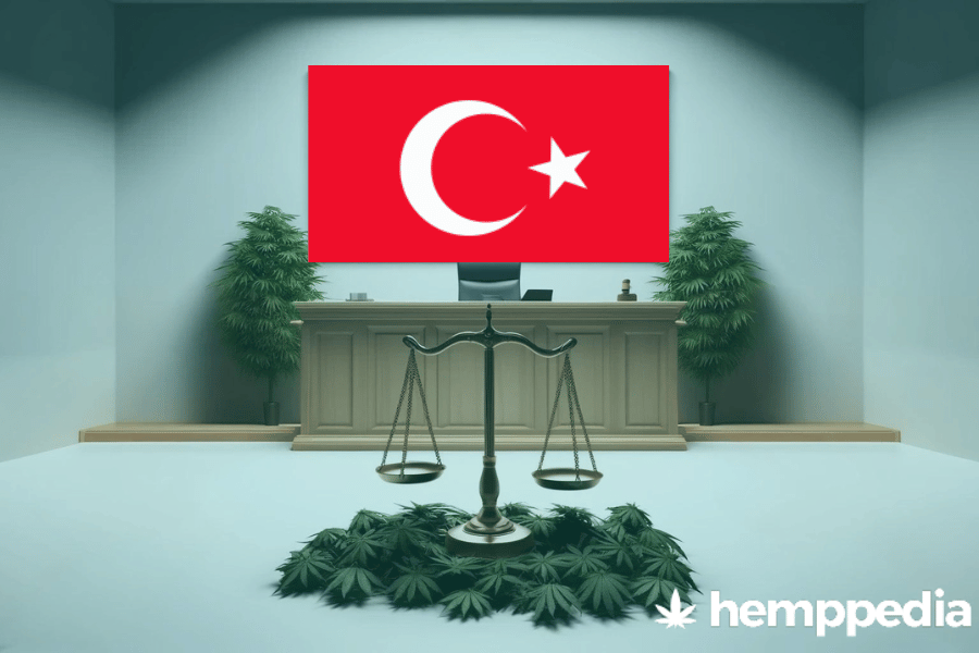 La cannabis è legale in Turchia? – Update 2024