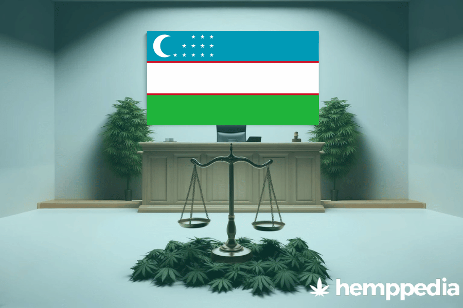 La cannabis è legale in Uzbekistan? – Update 2024