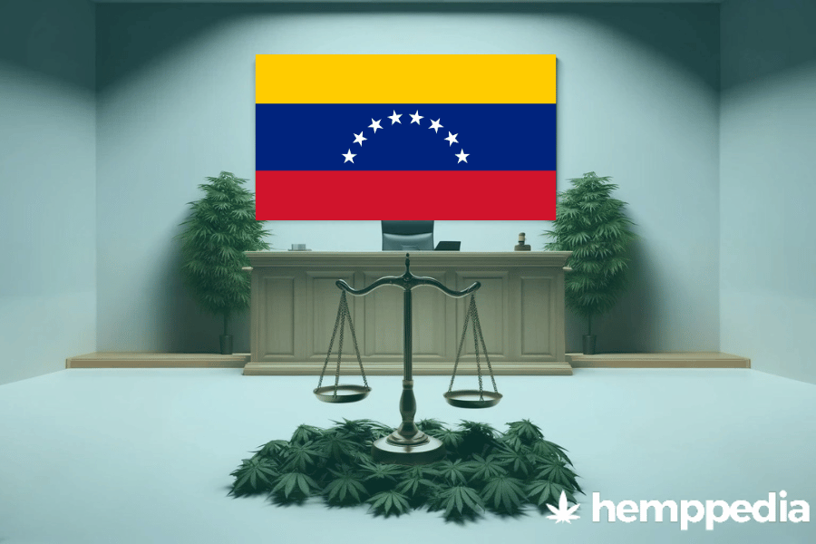 La cannabis è legale in Venezuela? – Update 2024