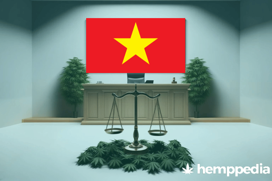 La cannabis è legale in Vietnam? – Update 2024
