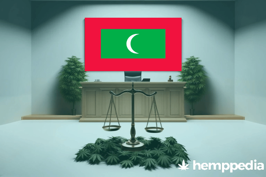 La cannabis è legale alle Maldive? – Update 2024